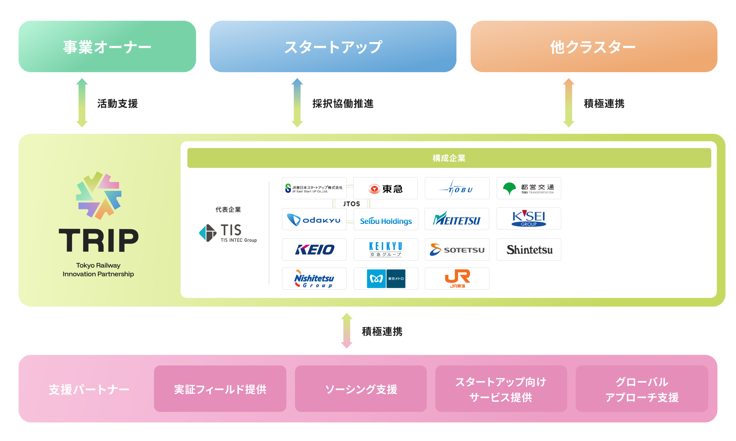 TRIP構造スキーム図
