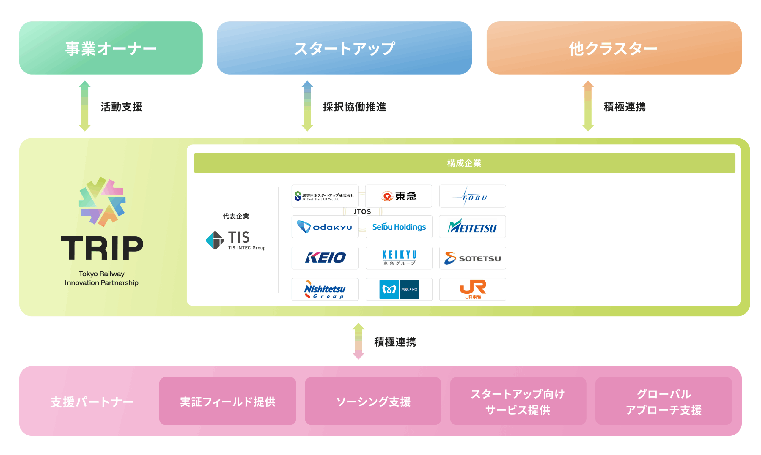 TRIP構造スキーム図