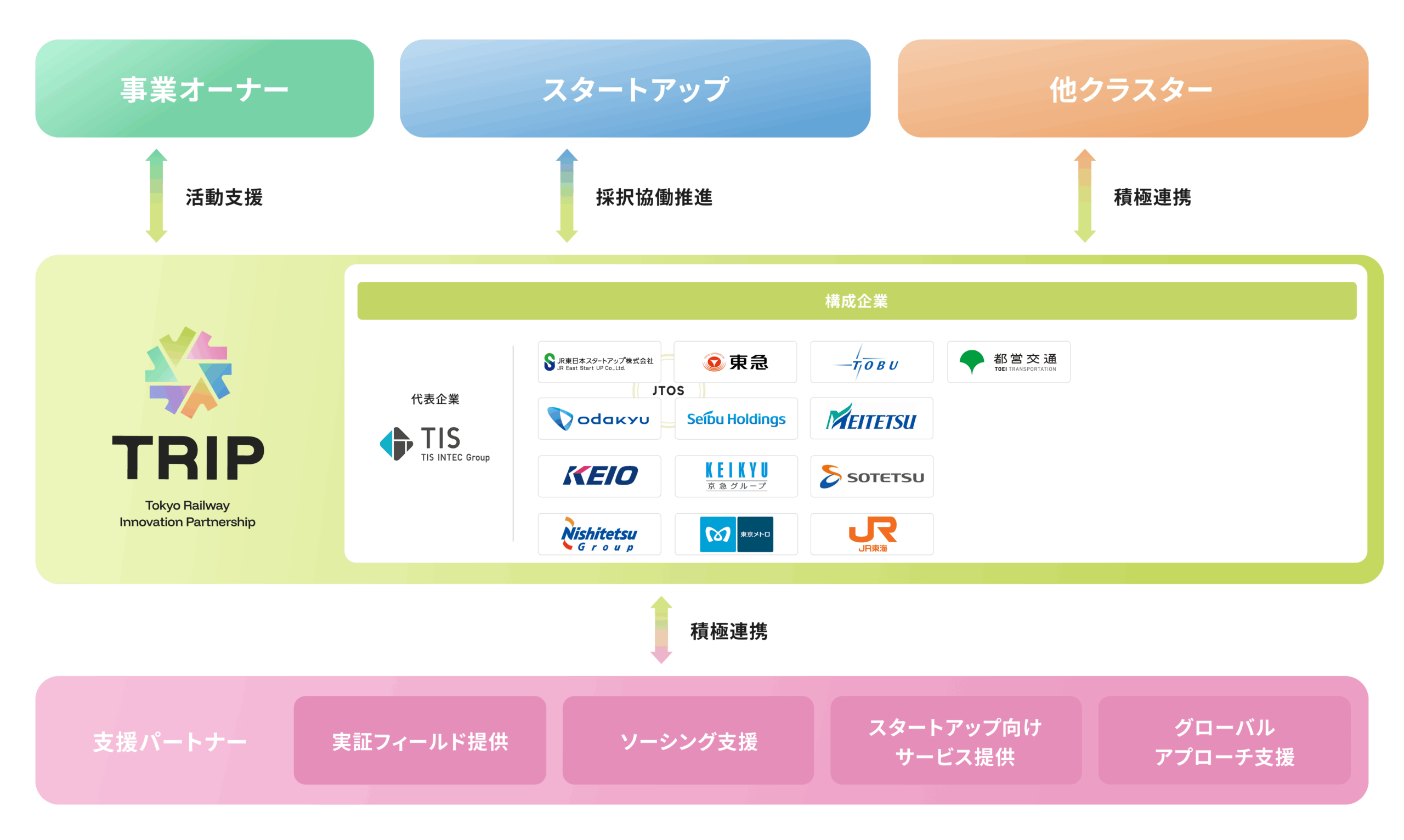 TRIP構造スキーム図